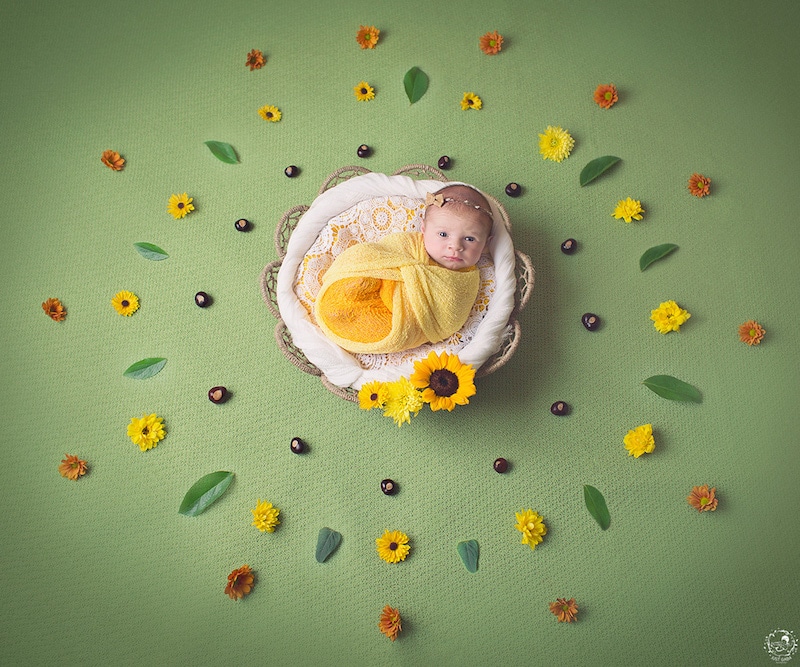 Cutest Photos Of Newborns At The Center Of Handmade Mandalas By Gabriele Dabasinskaite