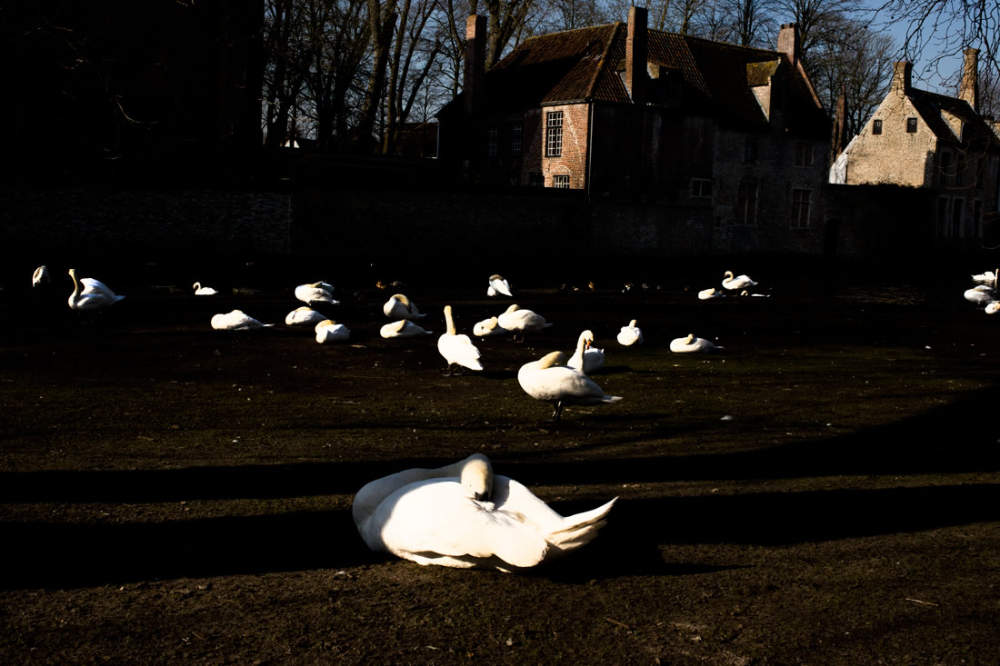 On A Foreign Soil: Street Photography Series By Pushkar Raj Sharma
