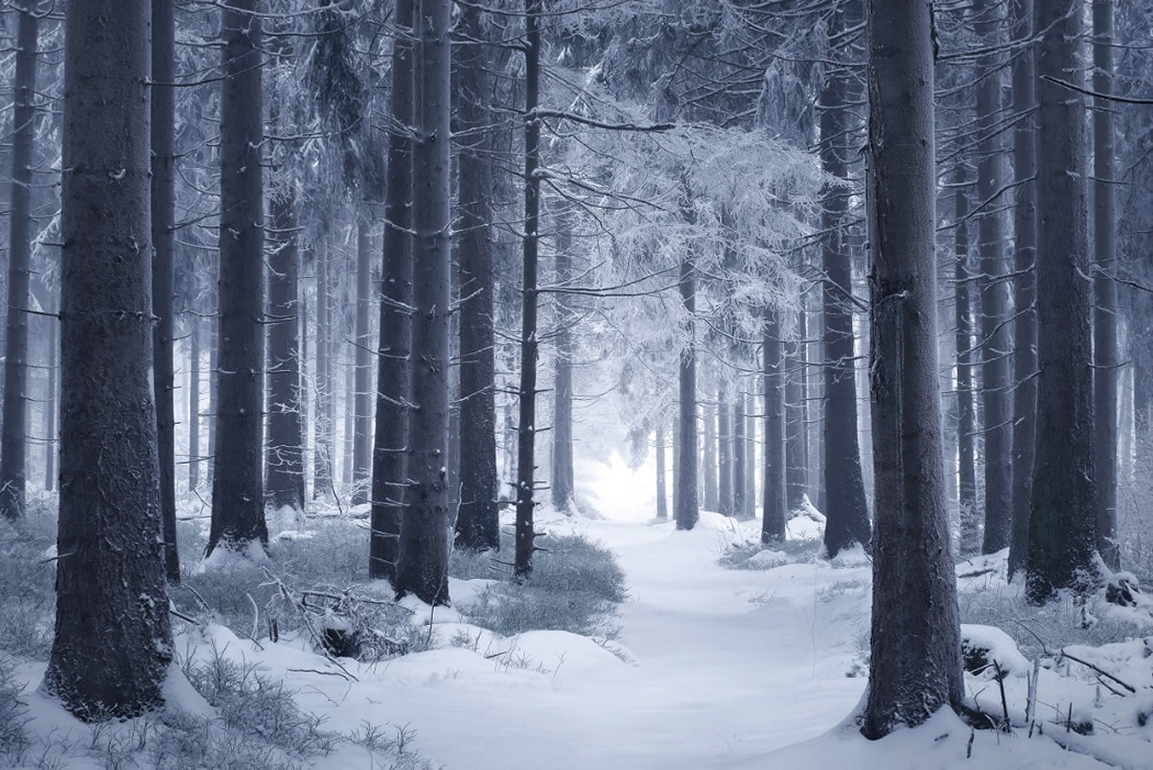 Photographer Kilian Schonberger Beautifully Captured His Landscape Photography Series, Winters Tale