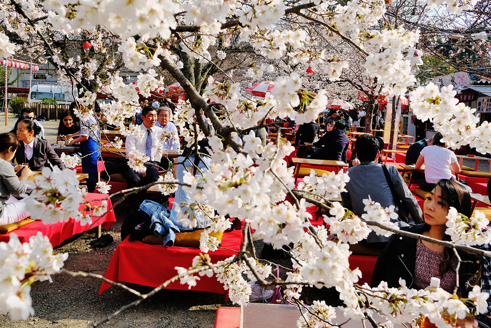 In Bloom - Street Photography Series By Dmitry Stepanenko