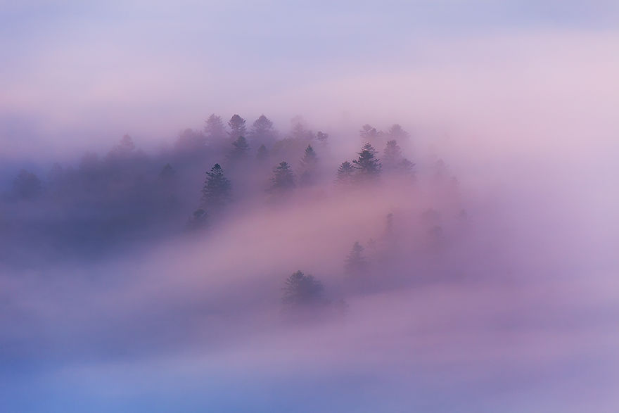 Photographer Magda Chudzik Captures Beautiful Photos Of Morning Fog