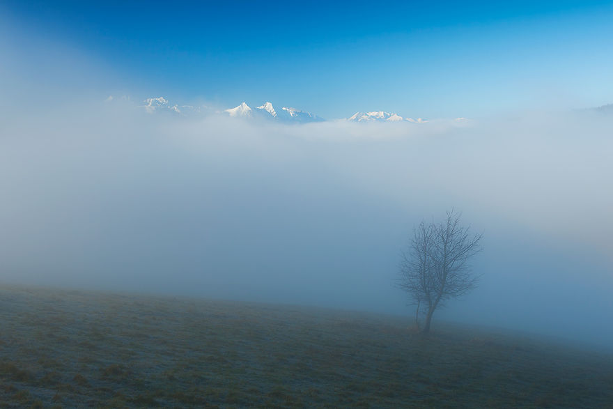 Photographer Magda Chudzik Captures Beautiful Photos Of Morning Fog