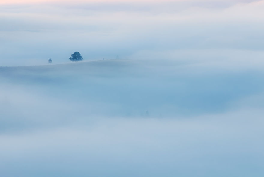 Photographer Magda Chudzik Captures Beautiful Photos Of Morning Fog