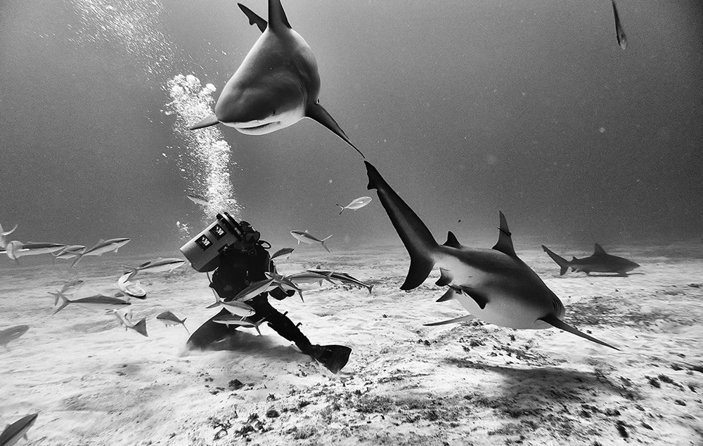 Beautiful Black And White Photographs Of Under The Sea By Anuar Patjane Floriuk