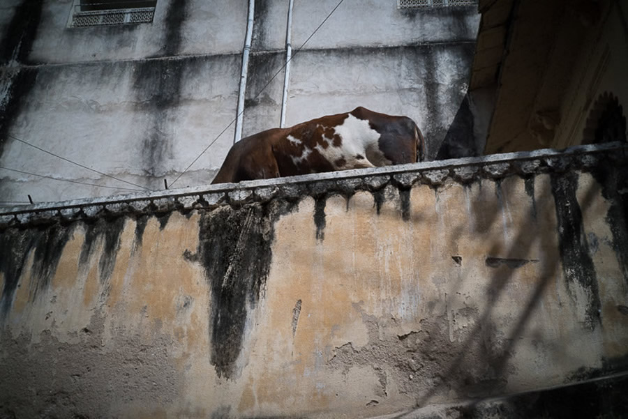 25 Inspiring Color Street Photographs From HCSP Flickr Group Of This Season