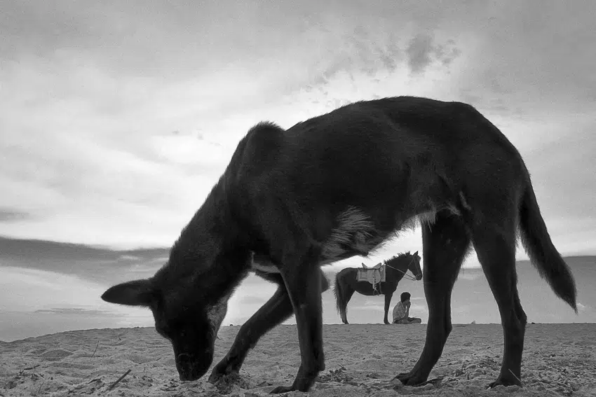 Interview With Indian Photographer Prashant Godbole By Chetna Vasishth