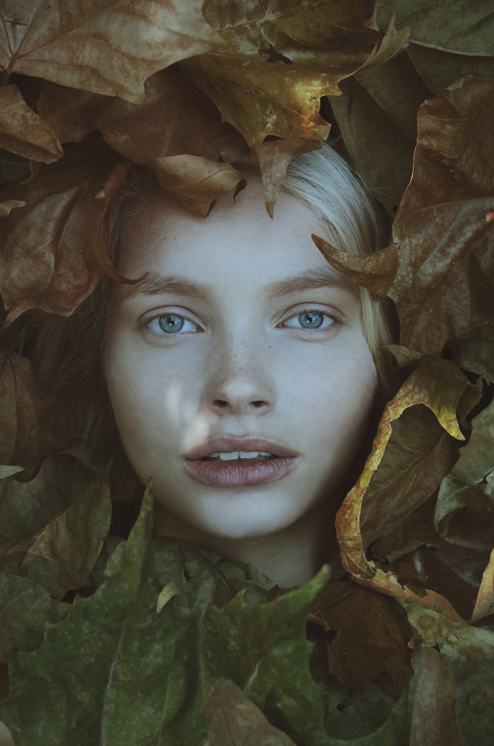 Singular Beauties Fine Art Portraits By Romanian