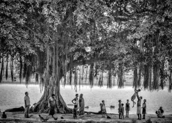 Villagers gathering beneath a large banyan tree by a river, black and white photo