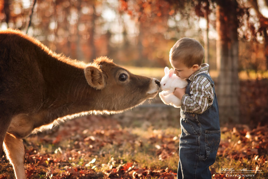 Most Beautiful Photos Of Kids And Barnyard Animals By Phillip Haumesser