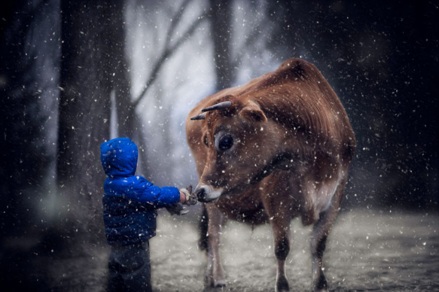 Most Beautiful Photos Of Kids And Barnyard Animals By Phillip Haumesser