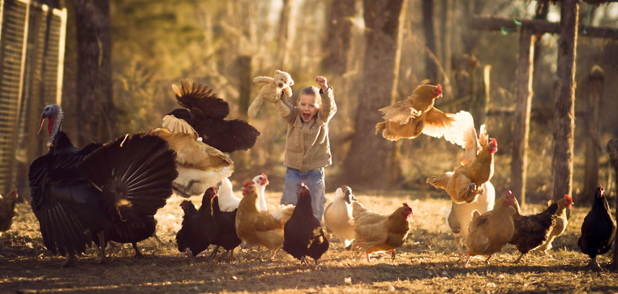 Most Beautiful Photos Of Kids And Barnyard Animals By Phillip Haumesser