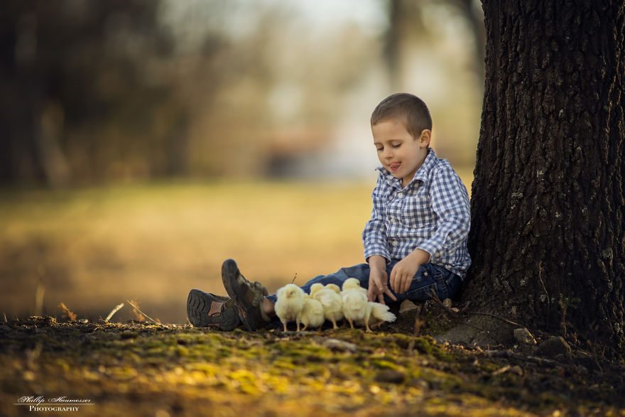 Most Beautiful Photos Of Kids And Barnyard Animals By Phillip Haumesser