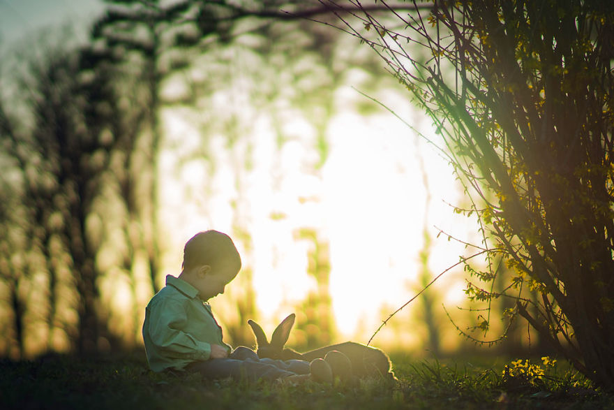 Most Beautiful Photos Of Kids And Barnyard Animals By Phillip Haumesser