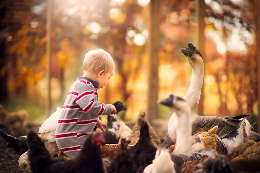 Most Beautiful Photos Of Kids And Barnyard Animals By Phillip Haumesser