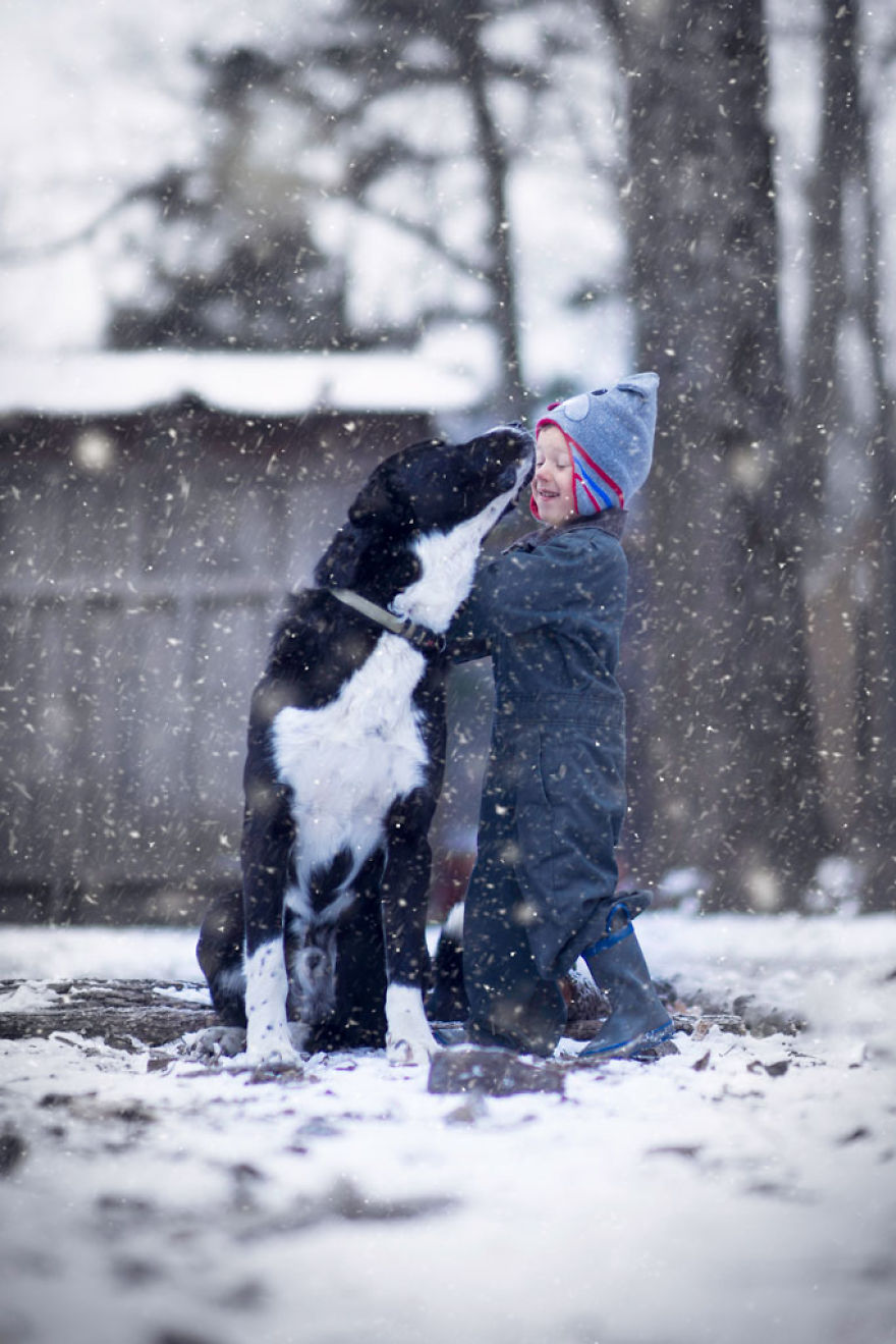 Most Beautiful Photos Of Kids And Barnyard Animals By Phillip Haumesser