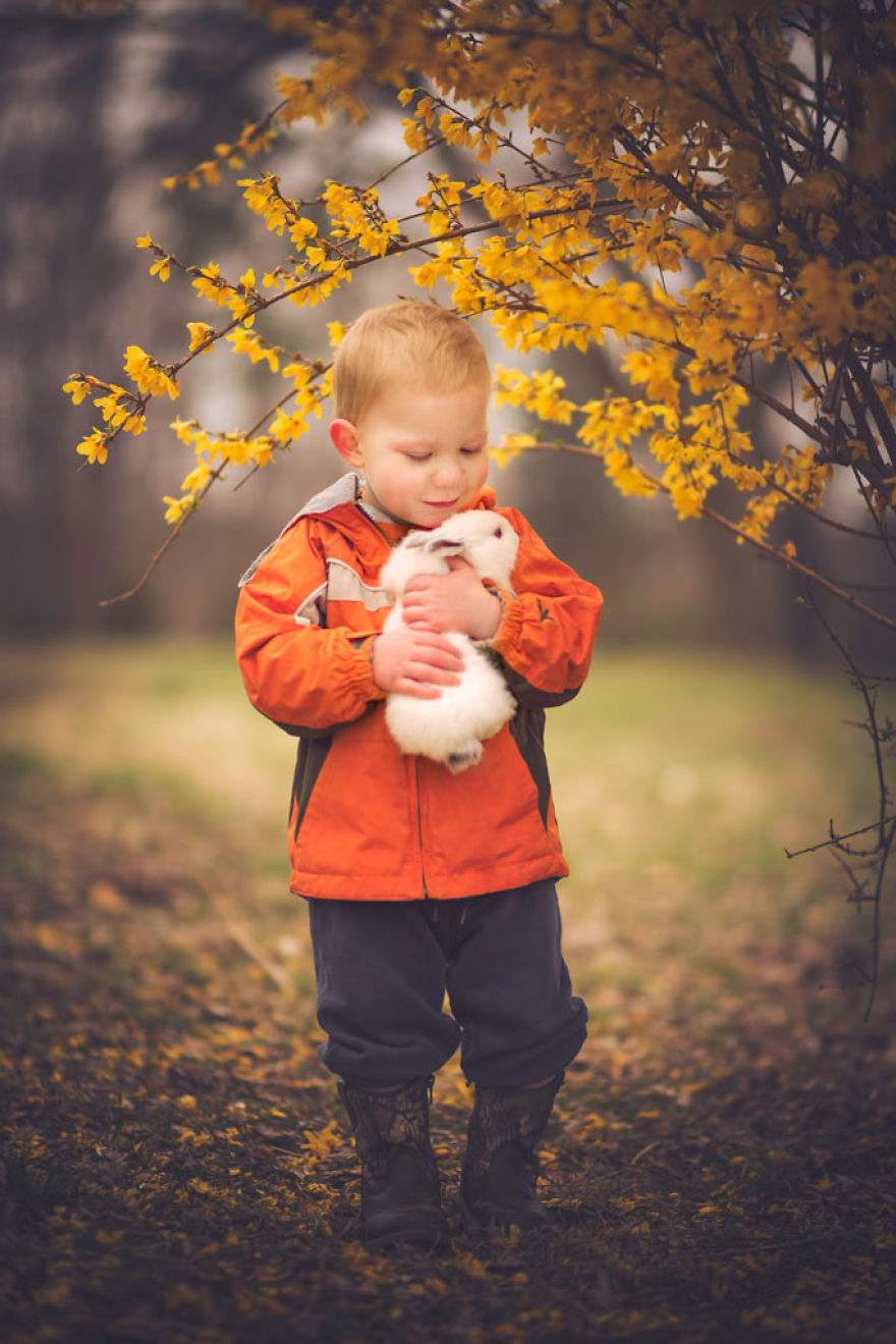 Most Beautiful Photos Of Kids And Barnyard Animals By Phillip Haumesser