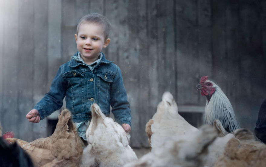 Most Beautiful Photos Of Kids And Barnyard Animals By Phillip Haumesser