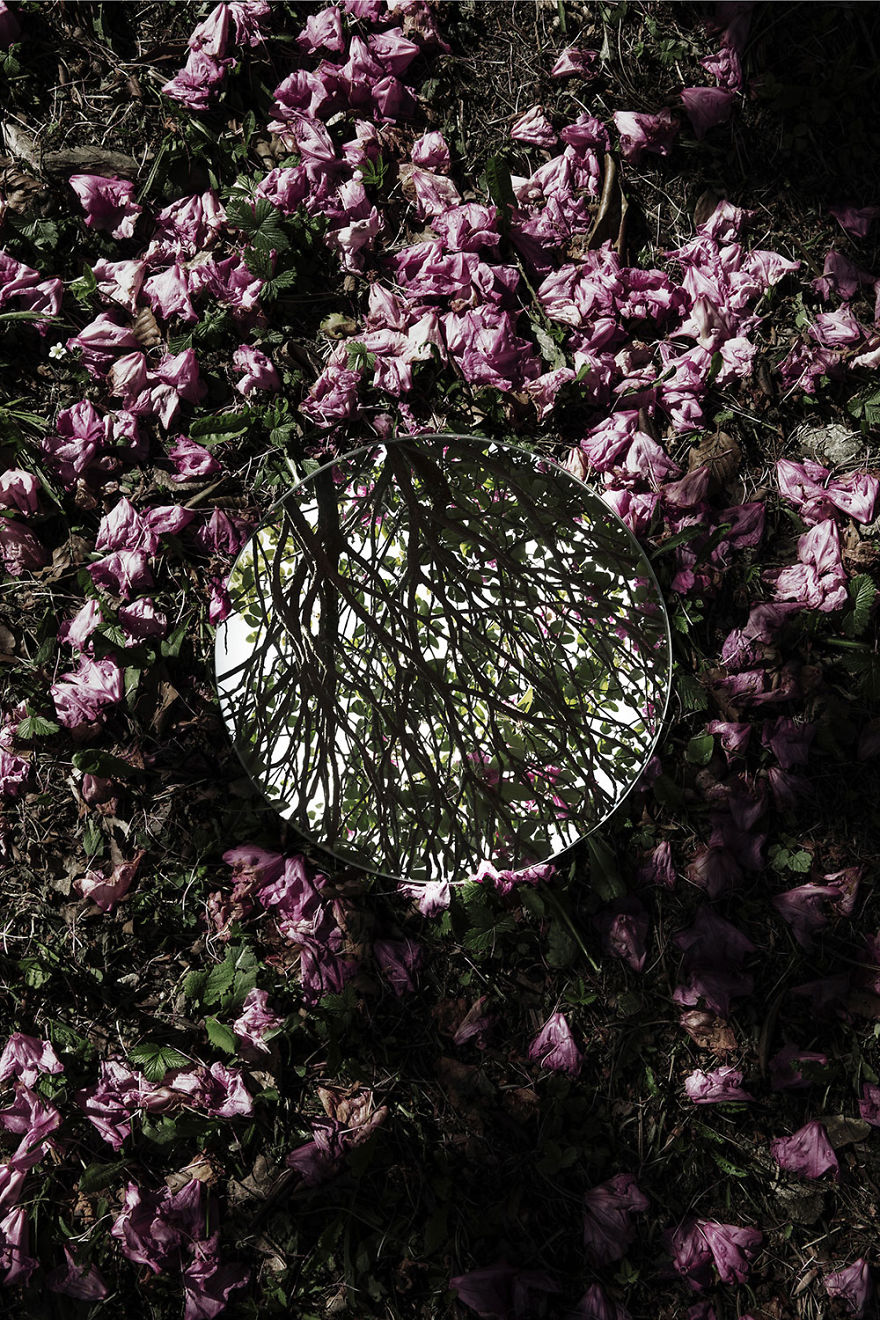 Photographer Sebastian Magnani Captured The Beauty Of Nature In Mirror Reflections