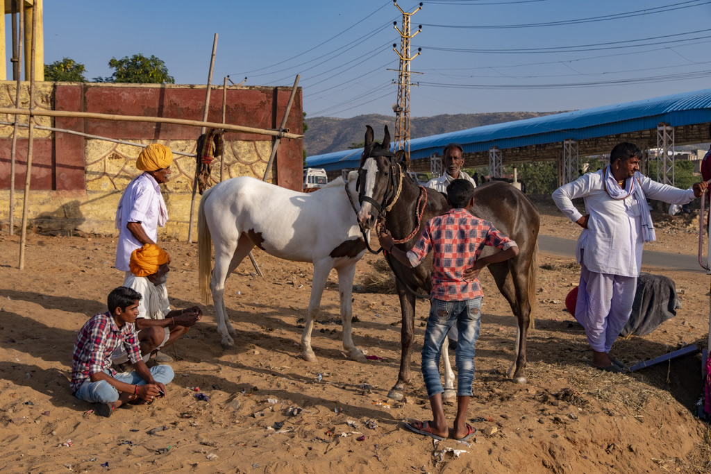 Pushkar – A Journey To Infinity: Photo Series By Raj Sarkar