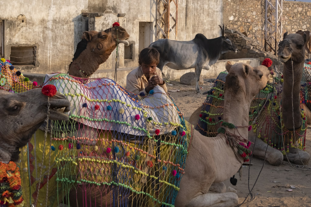 Pushkar – A Journey To Infinity: Photo Series By Raj Sarkar