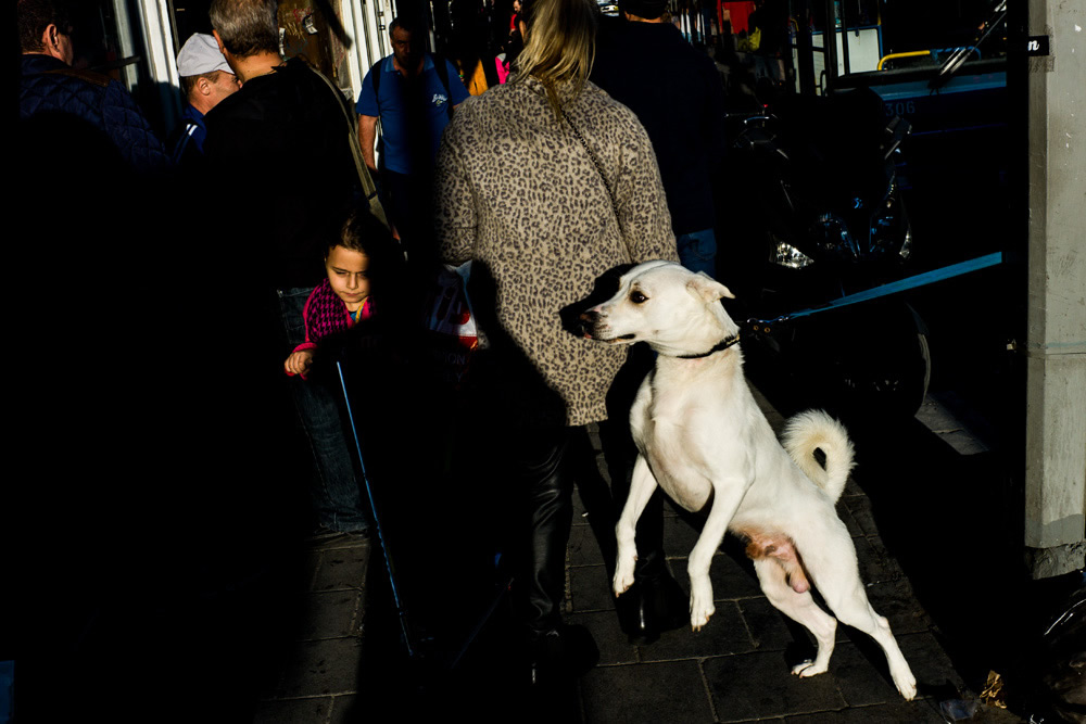 Fantastic Interview With Israeli Street Photographer Sagi Kortler