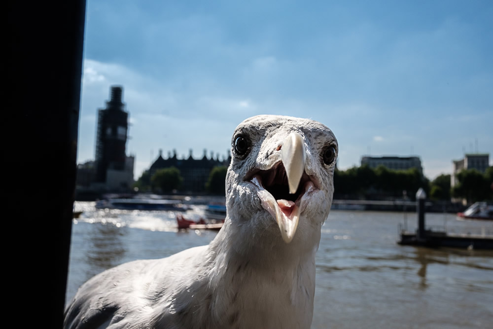 A Few Days In London 2018: Street Photography Series By Gabi Ben Avraham