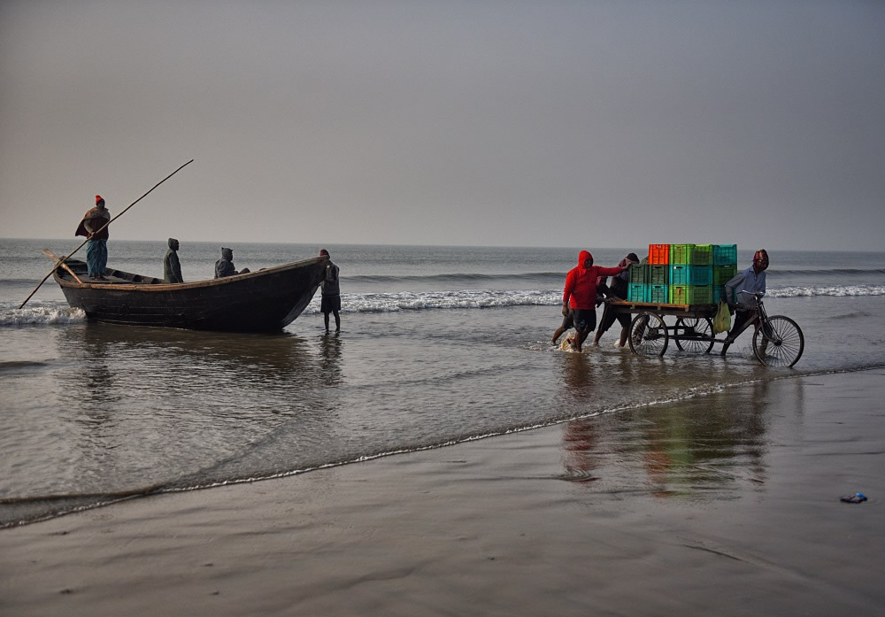Dry Fish Processing At The Coastal Area Of Bengal: Photo Series By Avishek Das