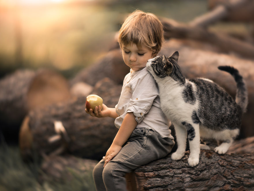 Photographer Iwona Podlasińska Captured The Most Magical Moments of His Son With Cats