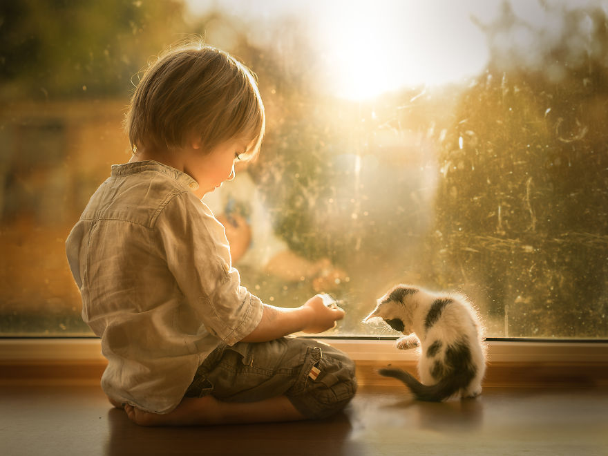 Photographer Iwona Podlasińska Captured The Most Magical Moments of His Son With Cats