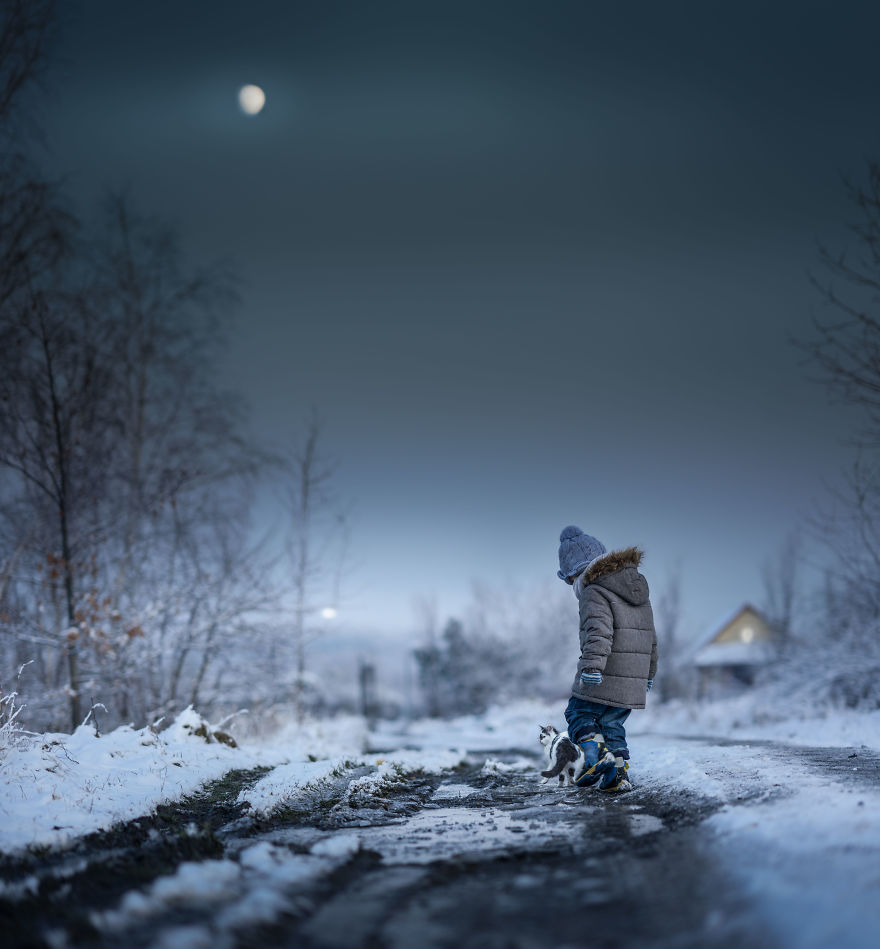 Photographer Iwona Podlasińska Captured The Most Magical Moments of His Son With Cats