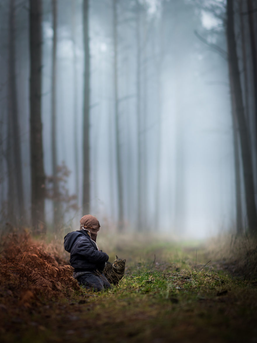 Photographer Iwona Podlasińska Captured The Most Magical Moments of His Son With Cats