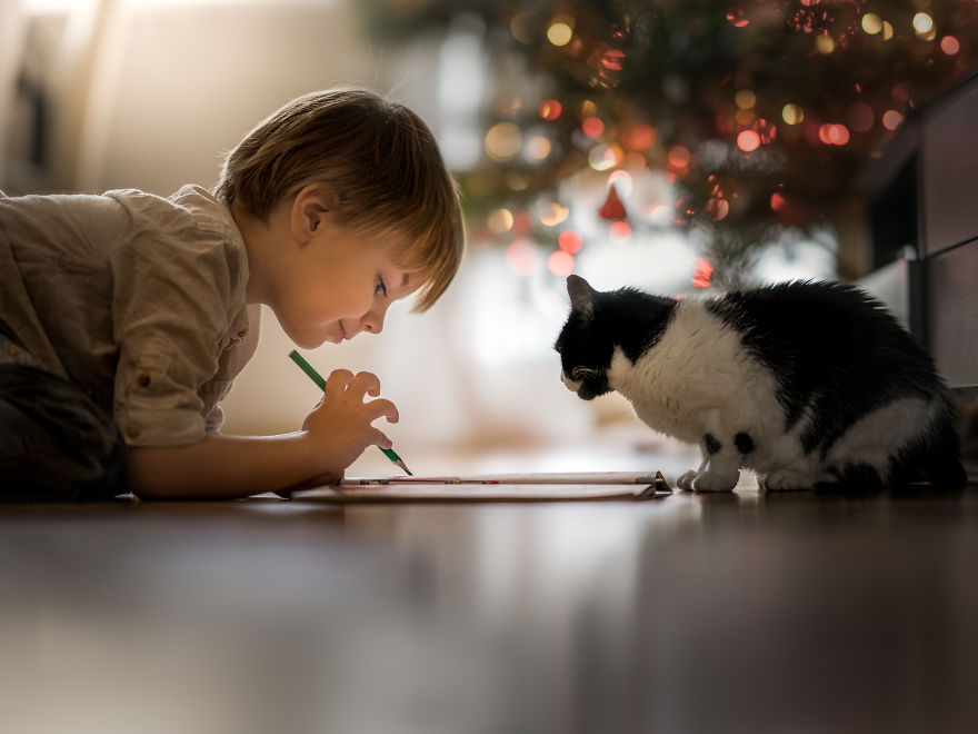 Photographer Iwona Podlasińska Captured The Most Magical Moments of His Son With Cats