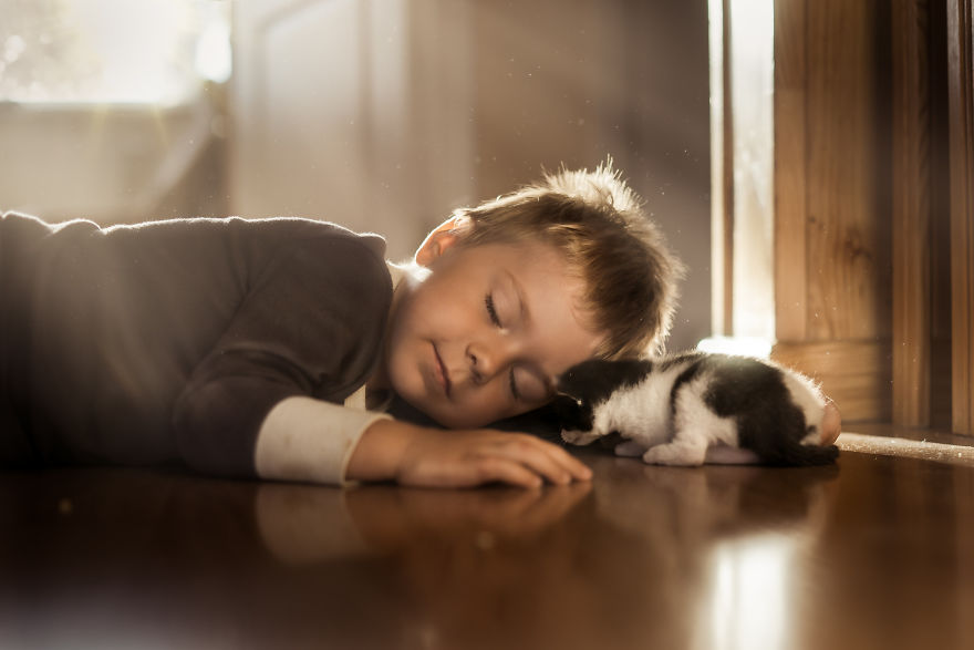 Photographer Iwona Podlasińska Captured The Most Magical Moments of His Son With Cats