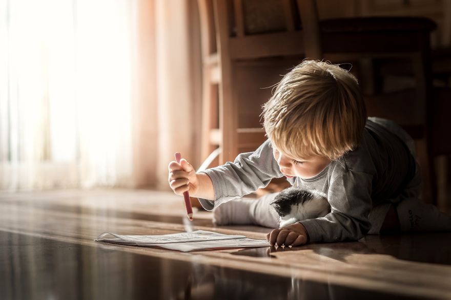 Photographer Iwona Podlasińska Captured The Most Magical Moments of His Son With Cats