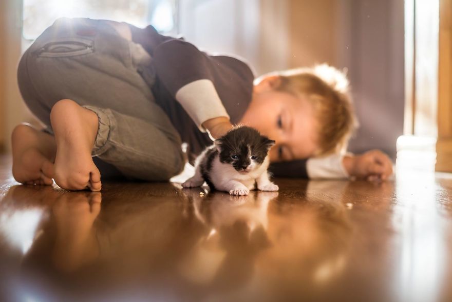 Photographer Iwona Podlasińska Captured The Most Magical Moments of His Son With Cats