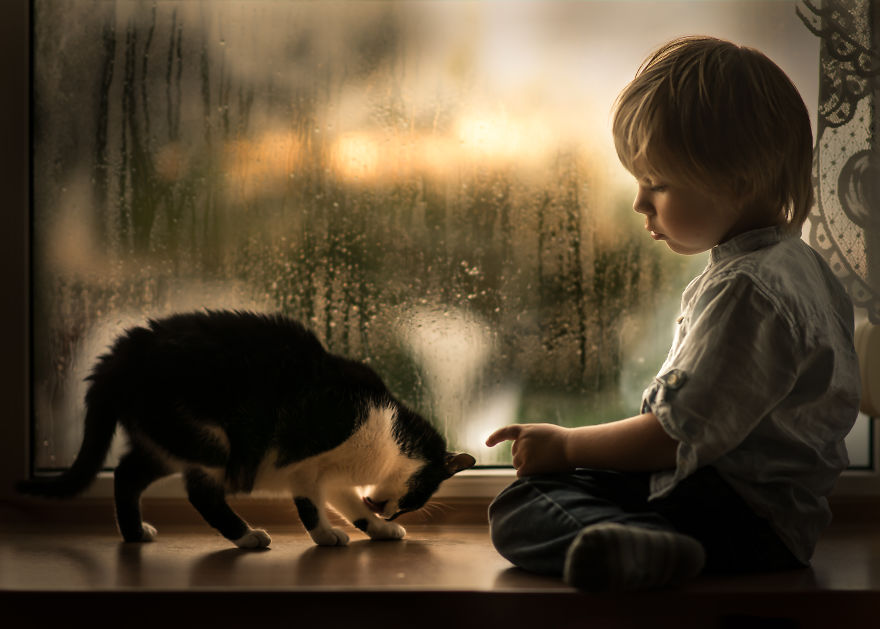 Photographer Iwona Podlasińska Captured The Most Magical Moments of His Son With Cats