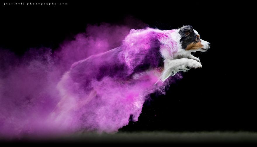 10 Tips For Smoke Bomb Photography — Jessica Sheppard