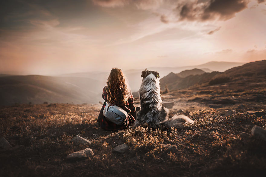 The Best Dog Photos I Have Ever Captured By Kristyna Kvapilova