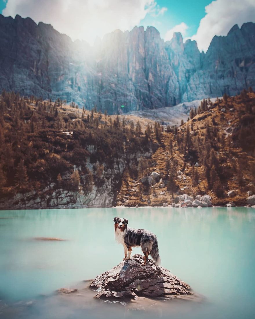 The Best Dog Photos I Have Ever Captured By Kristyna Kvapilova