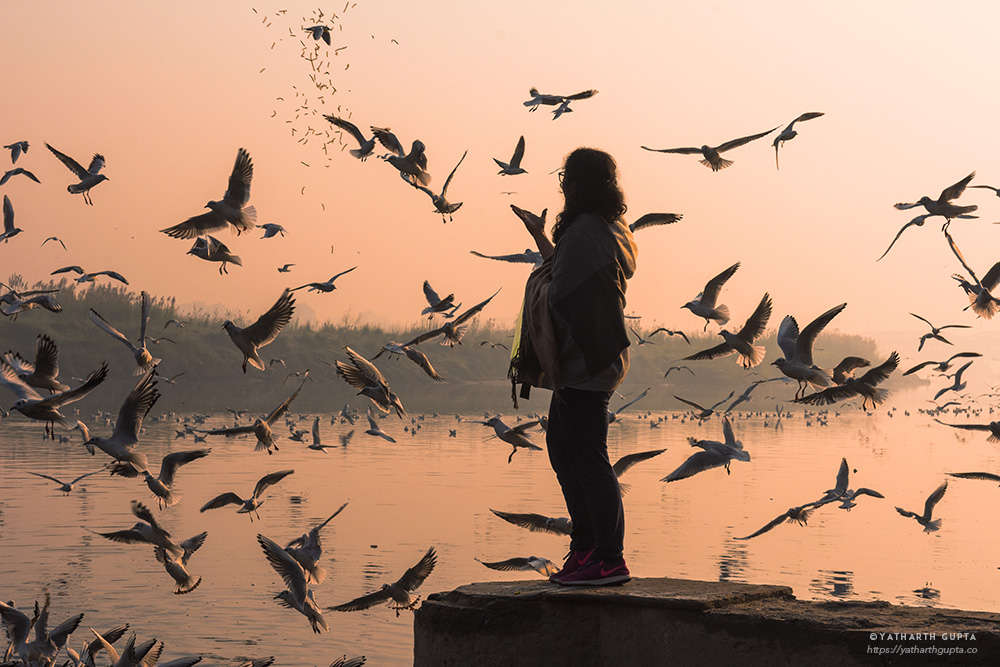 Migratory Bustle At Yamuna Ghat: Photo Series By Yatharth Gupta