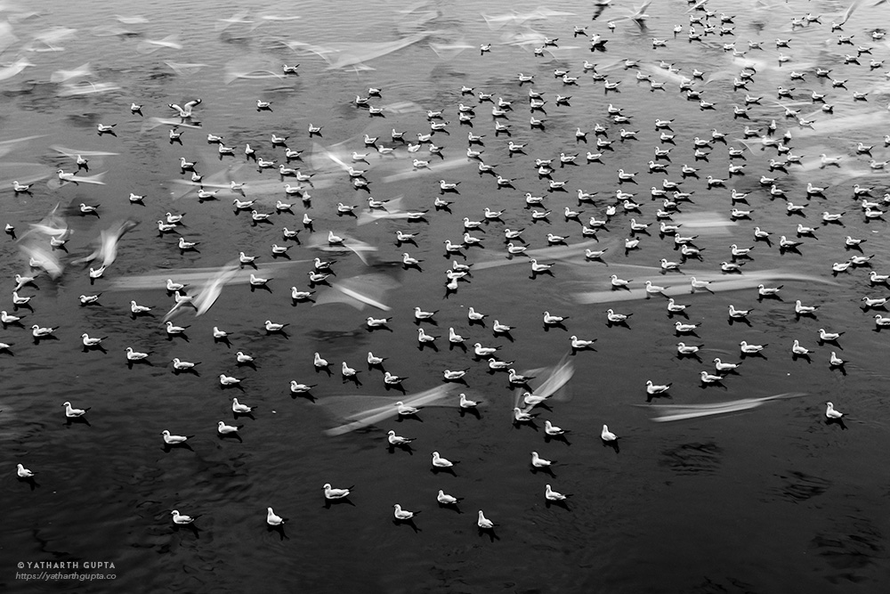 Migratory Bustle At Yamuna Ghat: Photo Series By Yatharth Gupta