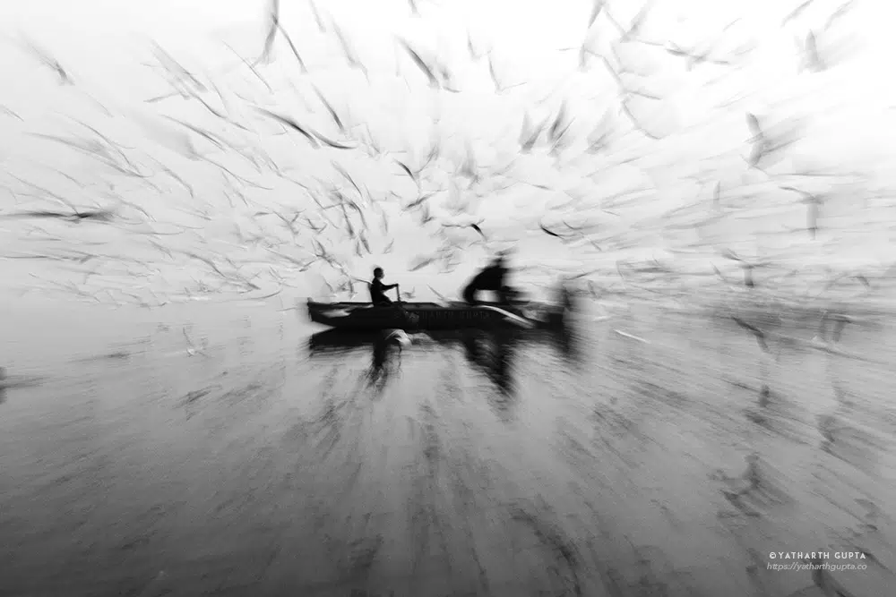 Photographer Yatharth Gupta Beautifully Captured The Migratory Bustle At Yamuna Ghat, Delhi