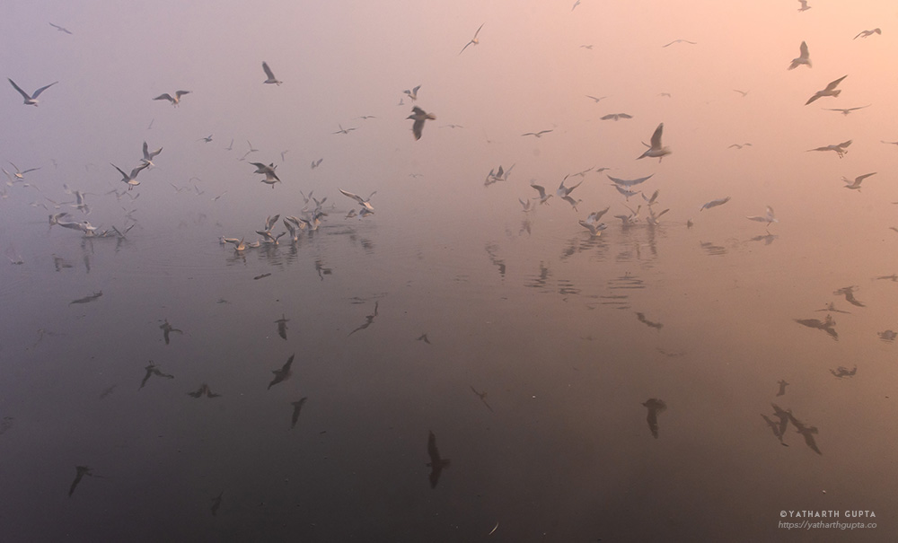 Migratory Bustle At Yamuna Ghat: Photo Series By Yatharth Gupta