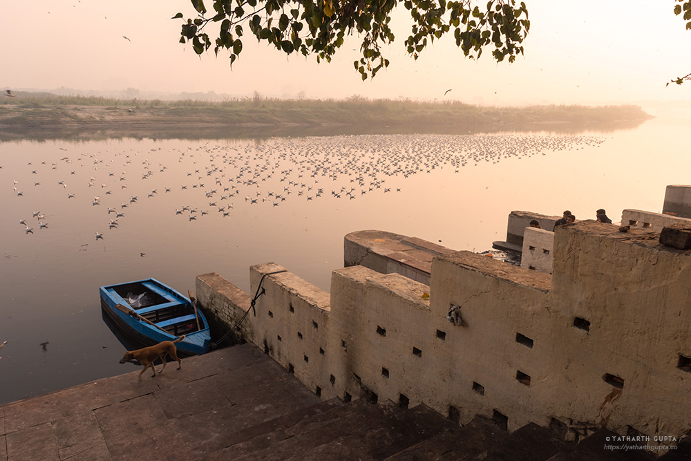 Migratory Bustle At Yamuna Ghat: Photo Series By Yatharth Gupta