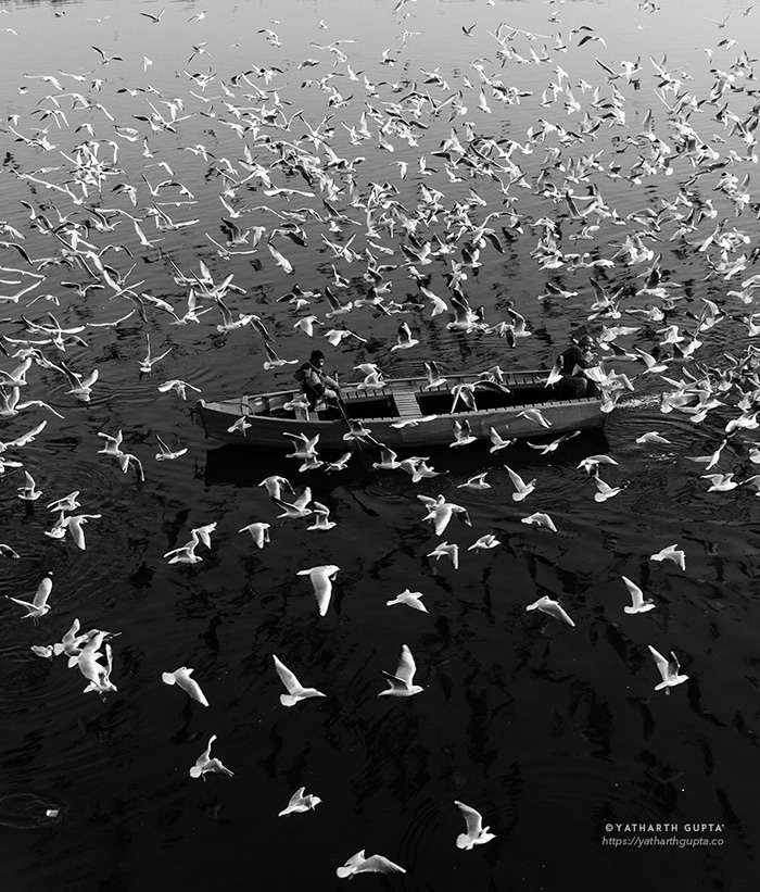 Migratory Bustle At Yamuna Ghat: Photo Series By Yatharth Gupta