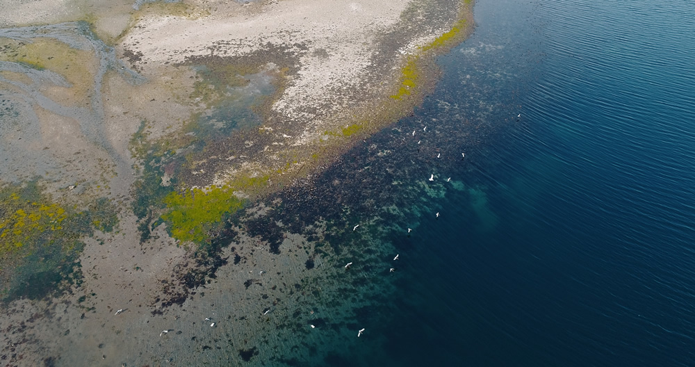 The Majestic Faroe Islands - Through A Birds Eye By Kevin Krautgartner