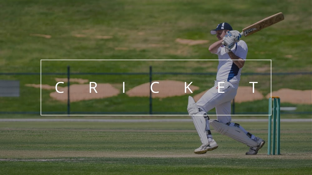 Highlights of Cricket Photography – Bonus: Free Online Cricket Games