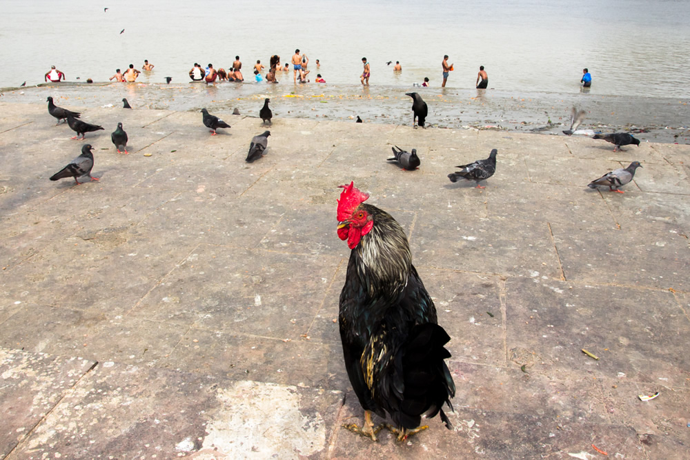 Co Existence: Street Photography Series By Md. Enamul Kabir