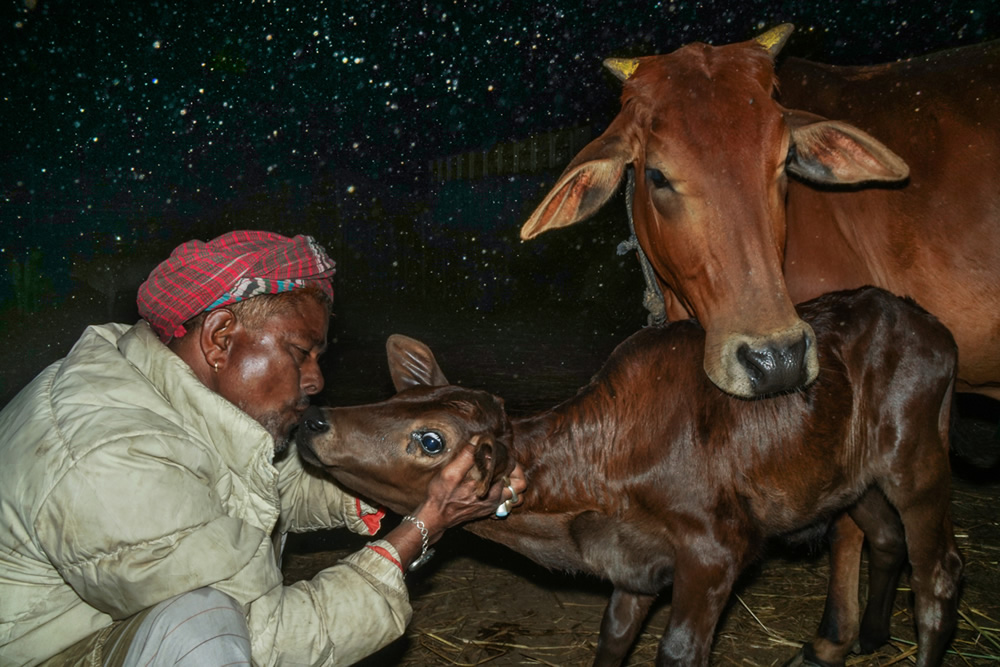 Co Existence: Street Photography Series By Md. Enamul Kabir