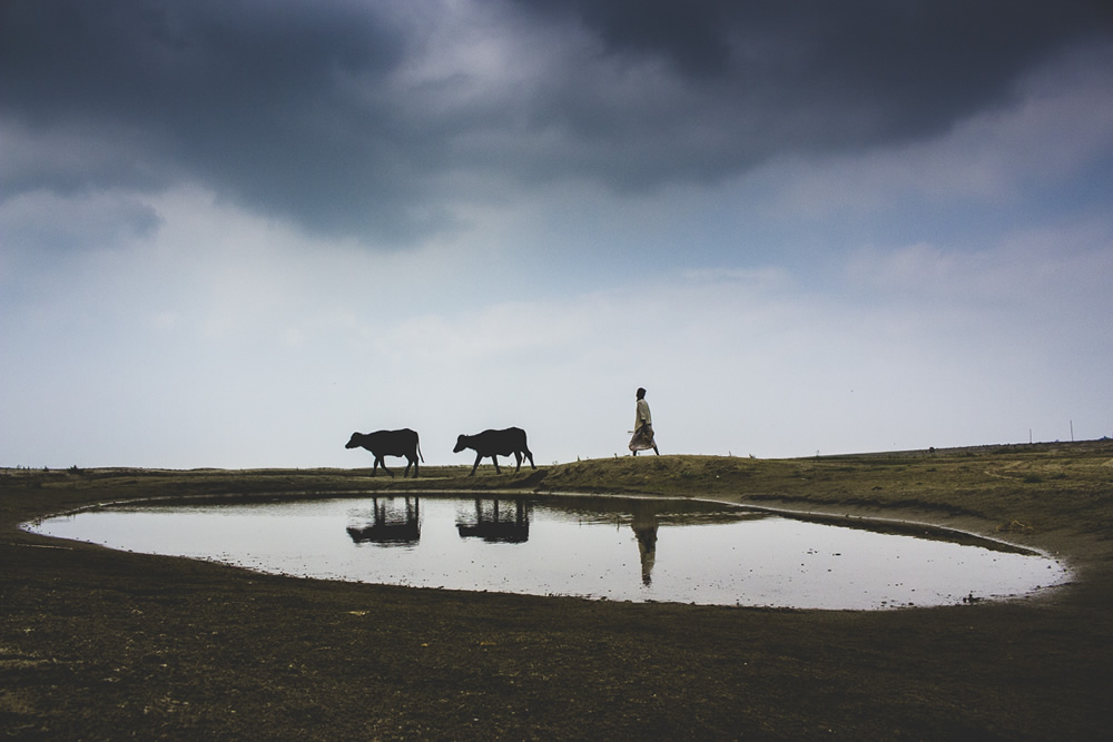 Visuals Of Delta By Bangladeshi Photographer Enamur Reza